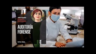 Auditoría forense [upl. by Ahar]