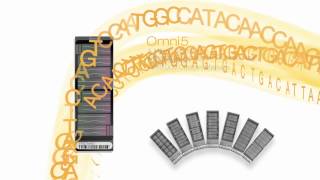 Illumina Arrays NextGen GWAS Now [upl. by Ferd109]