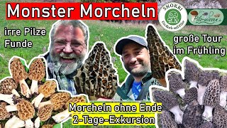 Monster Morchel gefunden  Morcheln ohne Ende  Pilze Exkursion an 2 Tagen im April 2024 [upl. by Hgiel832]