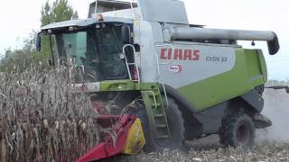 AGRIMAC  Claas Lexion 530 Mais 2010 Video 1 [upl. by Danita200]