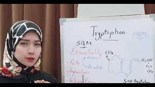 Protein Metabolism Session 18 Tryptophan amino acid metabolism [upl. by Elocn]