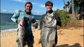 SPEARFISHING MAUI HAWAII “ premium reef diving”￼ [upl. by Siegfried]