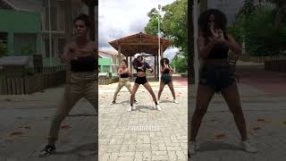 Toma toma  Bailão do Robyssão 💃🔥 [upl. by Nodnarg]