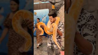 রিতু সাপ দেখে ভয় পেয়ে গেলো  Anaconda Snakes 🐍 shorts [upl. by Onaireves]