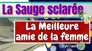 Règles douloureuses ménopause varices Comment utiliser lHuile Essentielle de Sauge Sclarée [upl. by Peursem]