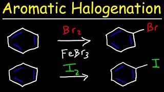 Aromatic Halogenation Mechanism  Chlorination Iodination amp Bromination of Benzene [upl. by Hcirdla]