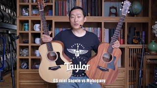 Taylor GS mini Sapele VS Mahogany 2024 guitarsreview 吉他评测 [upl. by Mines]