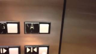 Otis series 1 elevator at Sheraton vistana villages Orlando [upl. by Ajar273]