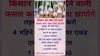 किसान भाइयों लहसुन की खेती करो पैसा ही पैसा होगा बिजनेस 🧄 Today Best idea 4 business shorts [upl. by Yarased]