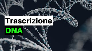 Un DOGMA nella BIOLOGIA La trascrizione del DNA nei procarioti e negli eucarioti [upl. by Adair228]