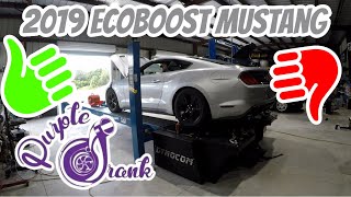 2019 EcoBoost Making Killer Power  PD Tuned [upl. by Akiemahs]