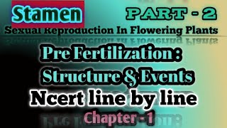 NOTESSTAMENS Pre Fertilisation Structure amp EventsNcert [upl. by Enilorak]