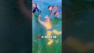 Él nada bajo el hielo pero🏊😱 trending youtubeshorts viralshorts [upl. by Neirol]