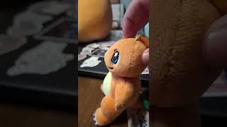 Rowlet And Charmander Are Fighting actinginspiration funny pumpkaboo [upl. by Lauzon]