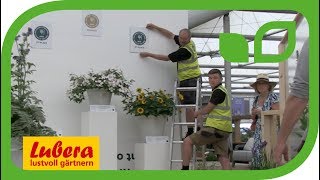 Chelsea Flower Show 2018  Pflanze des Jahres Hydrangea Runaway Bride [upl. by Dinin52]