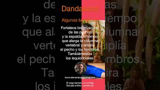 Laboratorio de asanas  DANDASANA SHORTS [upl. by Richards]