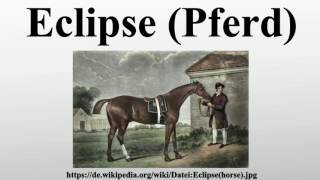 Eclipse Pferd [upl. by Jo-Ann]