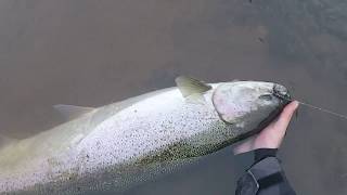 Skeena Tributary Winter Steelheading on the FLY [upl. by Ahl144]