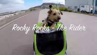 DoggyRide  Rocky Rocks The Rider [upl. by Elinet479]