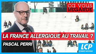 Pascal Perri  la France allergique au travail   quotÇa vous regardequot  26092023 [upl. by Andromada941]