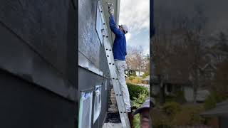 Why You Need To Back Roll Stucco When Spray Painting [upl. by Balthasar418]