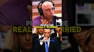 Rogan on Mark Zuckerberg Speaking Mandarin in China [upl. by Ativahs479]