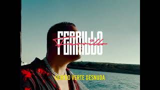 Ferrillo  BeBe Video Lyrics [upl. by Akcemat]