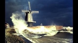 storm eunice boulevard vlissingen [upl. by Ahtnicaj10]