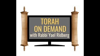 Torah on Demand Lech Lecha  The World Still Spins A Post Election Reflection [upl. by Menken69]