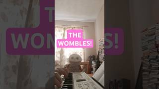 THE WOMBLES THEME MR OWLS FAVOURITE TUNE [upl. by Anneyehc]