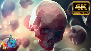 SKULL VIDEO WALLPAPER 4K 2 HOURS [upl. by Canty561]