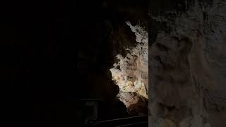 Jewel Cave Formation Room located in South Dakota [upl. by Nnaitsirk]