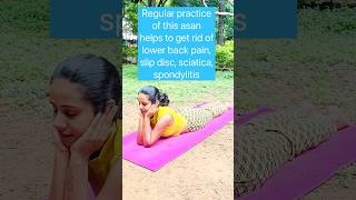 Part 1 Therapeutic Yoga for lower back pain slip disc sciatica spondylitis  Instant Pain Relief [upl. by Ahsekyw]