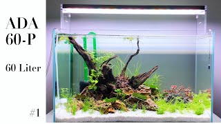 ADA 60P  60x30x36 cm  60 Liter 1 Setup [upl. by Rees]