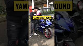 YAMAHA R6 2020 SOUND [upl. by Brandie461]