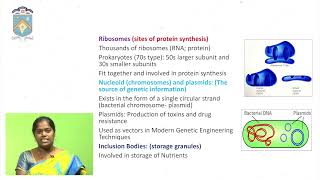 Prokaryote Cells by BHANU SAILAJA KUMARI  Lecturer in MICROBIOLOGY  ALC [upl. by Macfadyn]