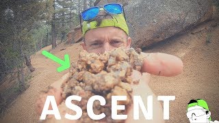 Pikes Peak Ascent Race Shoes Course Overview and Tips [upl. by Ivah]