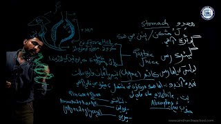 Alimentary Organs Digestive system Science Class 7 Chapter 1  Lecture 2 Sindh Online School [upl. by Silvers14]