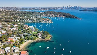 Bull sharks have ‘always been’ around Sydney Harbour [upl. by Nagn]