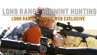 Long Range Varmint Hunting  Long Range Pursuit Web Exclusive [upl. by Eiba]