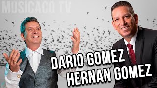 LOS GOMEZ  DARIO GOMEZ y HERNAN GOMEZ  Musica Popular Mix [upl. by Gunilla216]