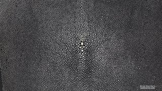 Shagreen Gunmetal 12 Inch [upl. by Nodnalb]