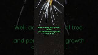 Fall Garden Care Applying Beneficial Soil Amendments microbes compost soil organicgardening [upl. by Errecart]