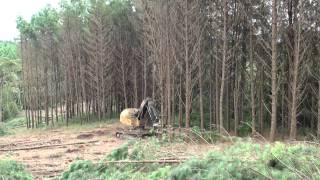 L870C feller buncher  Klabin Santa Catarina [upl. by Heyes125]