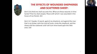 THE EFFECTS OF WOUNDED SHEPHERDS AND SCATTERED SHEEP [upl. by Nemzaj]