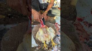 Professional Boy Amazing Chicken Cutting Skills  Most Creative Cutting Style 😱 shorts [upl. by Warren]