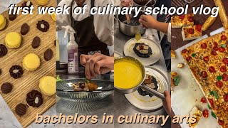 come to culinary school with me  week in my life as a culinary student  bachelors in culinary arts [upl. by Eetnuahs]