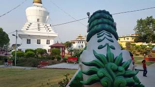 buddha temple dehradun [upl. by Constantine]