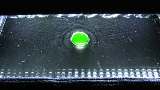 Uranium Oxyde glass bead in the cloud chamber 1080p [upl. by Gillian172]