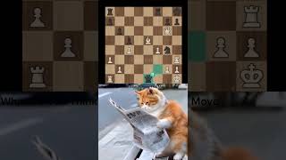 Queen To Move 💎 chess shorts chesscom checkmate [upl. by Stalder]